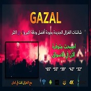 Gazal SCREEN SMART 4K 65